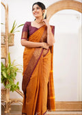Kanchi cotton handloom saree from Tamil Nadu, India